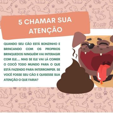 Fernanda Bonante Adestramento de Cães - Sintra - Hotel e Creche para Animais