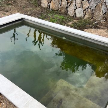 YAN construção e remodelação - Portimão - Poda e Manutenção de Árvores