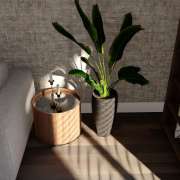 Katy Martins - Seixal - Remodelação da Casa