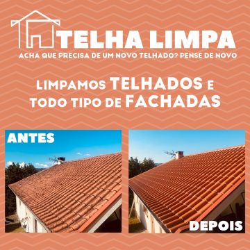 Telha Limpa pt - Póvoa de Varzim - Remoção de Arbustos