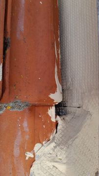 Dachreinigung - P. C.