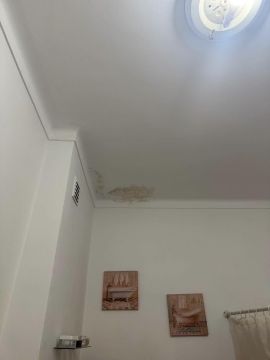 Pintor de Interiores