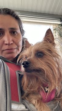 Telma | Pet Sitting - Lisboa - Katzensitter