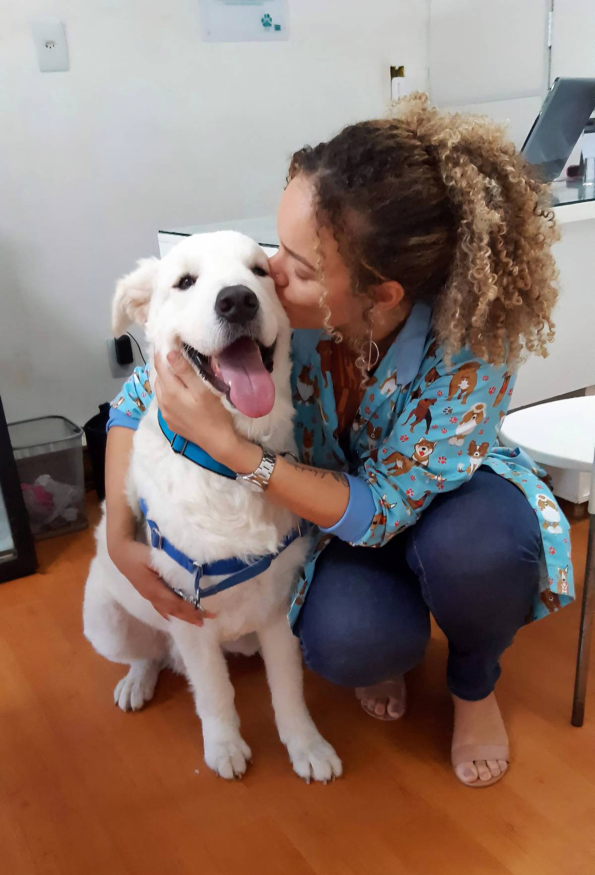 Daniele Farias - VetCuida - Cascais - Katzensitter