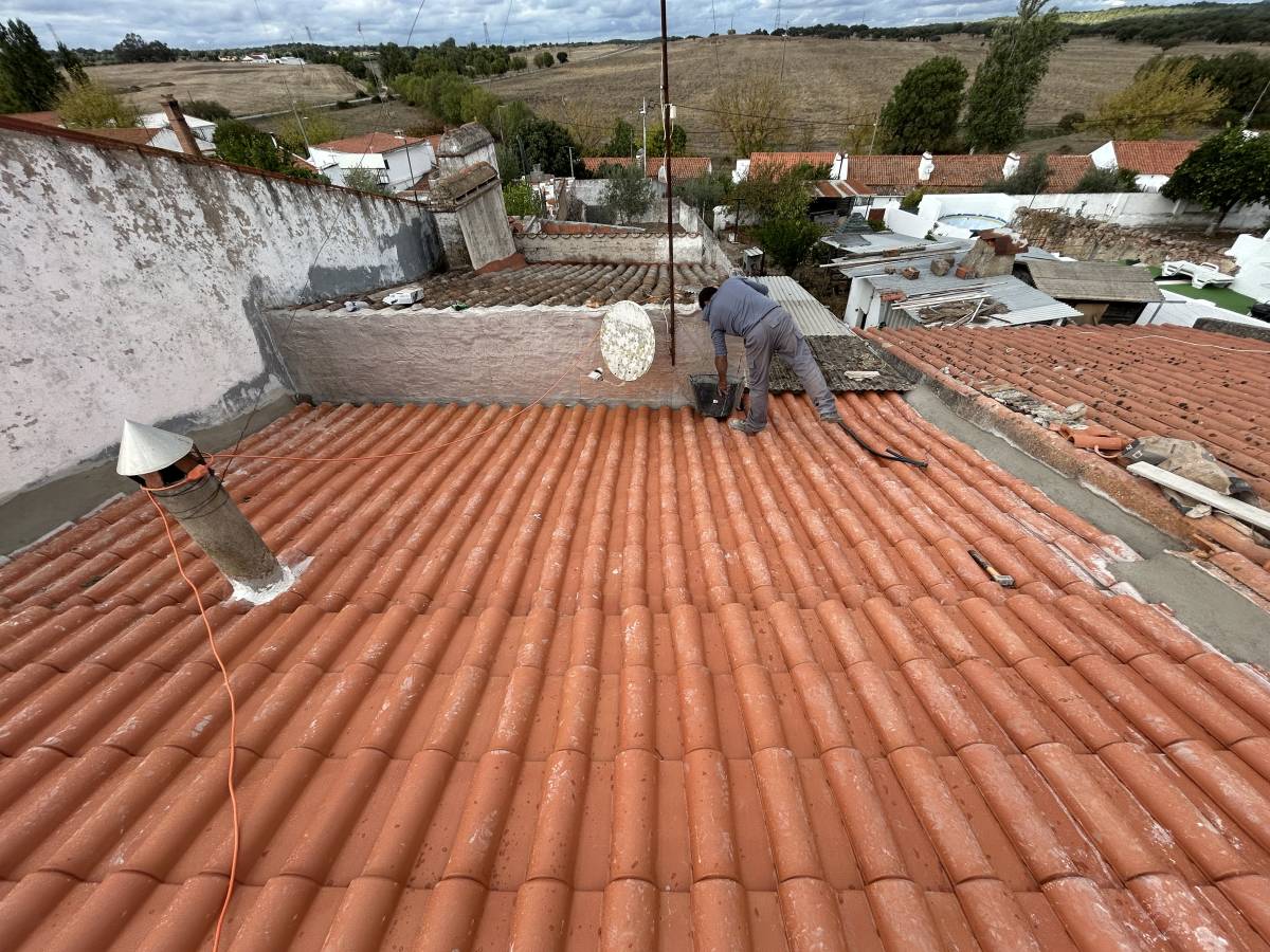 BR logística - Évora - Corte e Aparação de Relvado