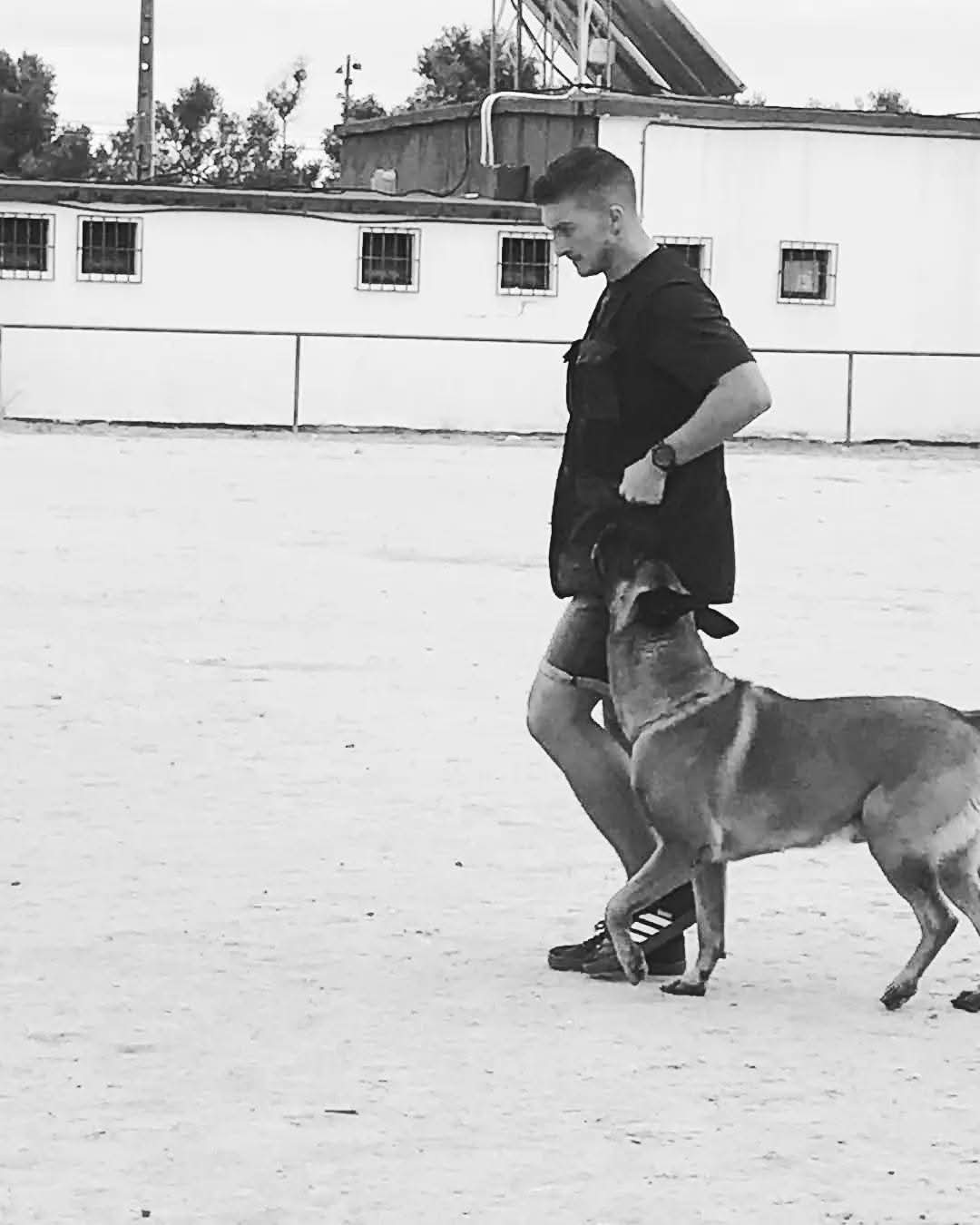 Vasco Carvalho - Faro - Dog Walking