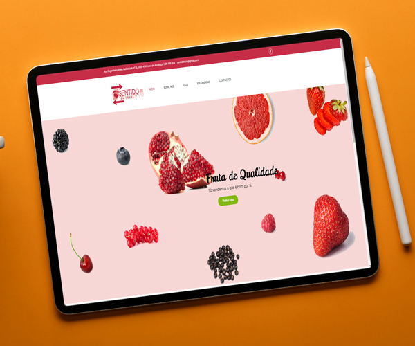 The cat's - Creative Agency - Mealhada - Präsentationen