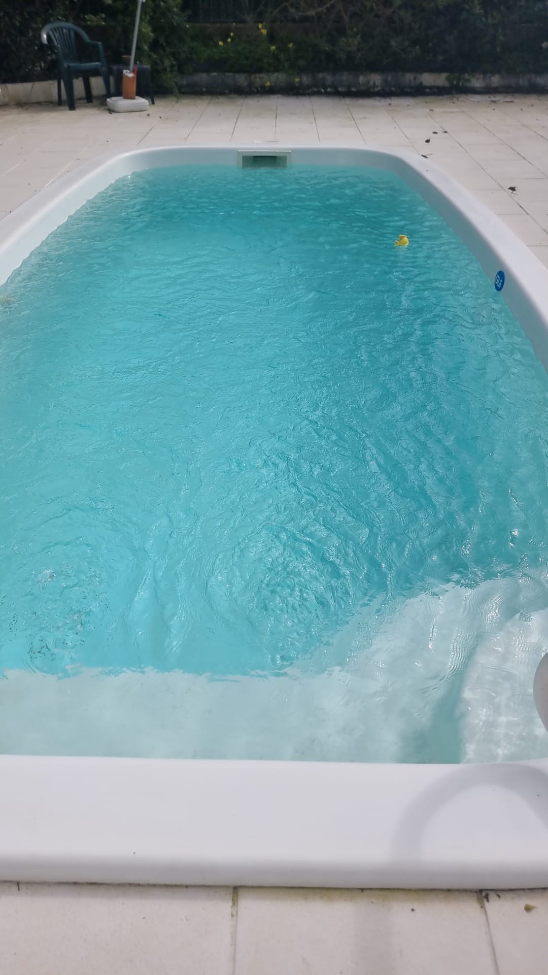 Pool Dream - Palmela - Limpeza ou Manutenção de Piscina