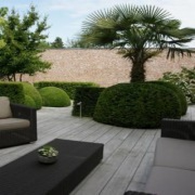 Projeto Verde-Jardinagem - Anadia - Plant Watering and Care