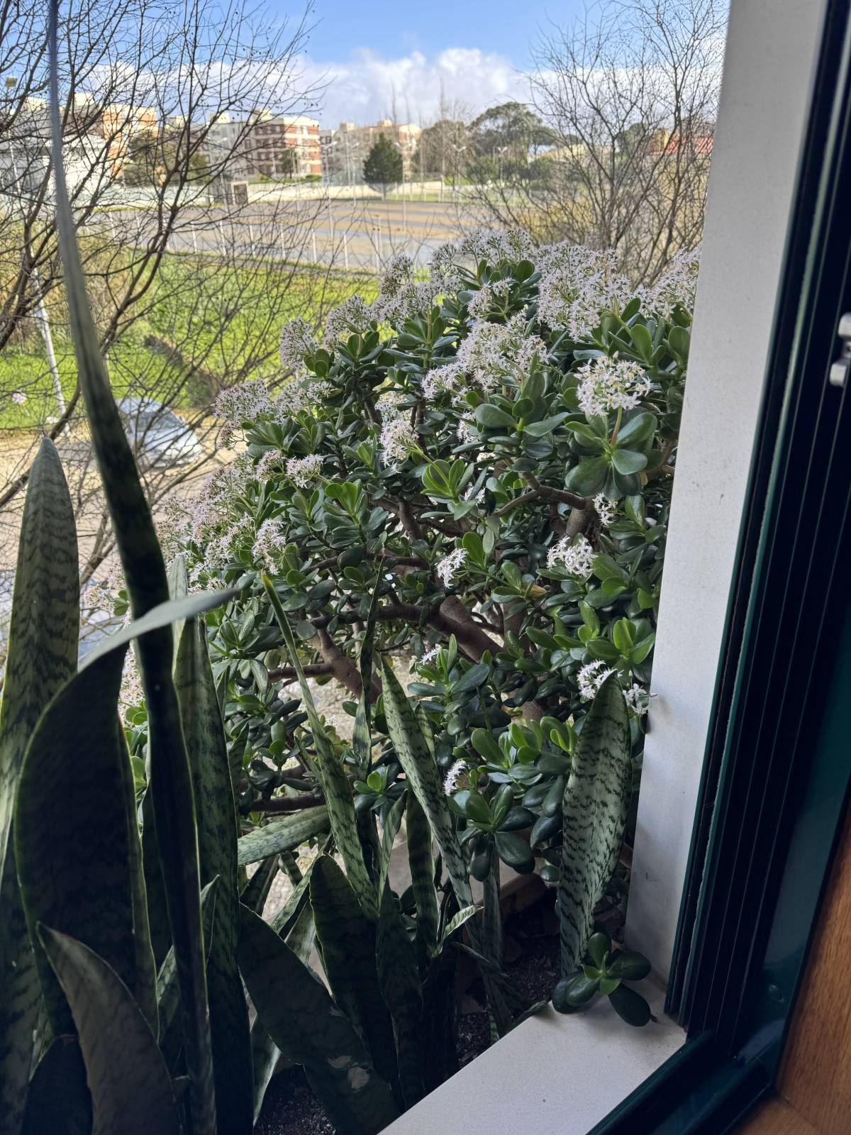 Gardener - Home Improvements