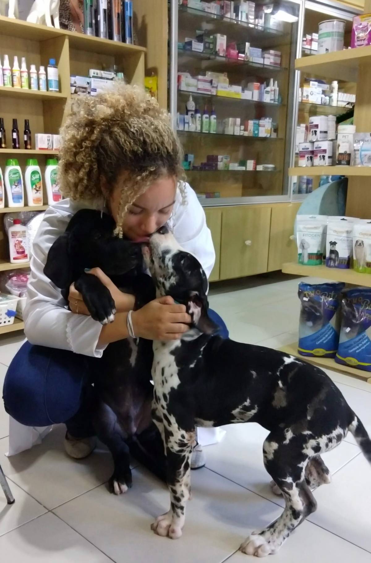 Daniele Farias - VetCuida - Cascais - Hundeausführung
