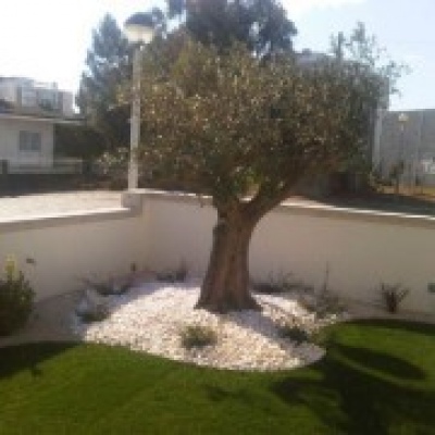 Projeto Verde-Jardinagem - Anadia - Multi Service Lawn Care (Recurring)