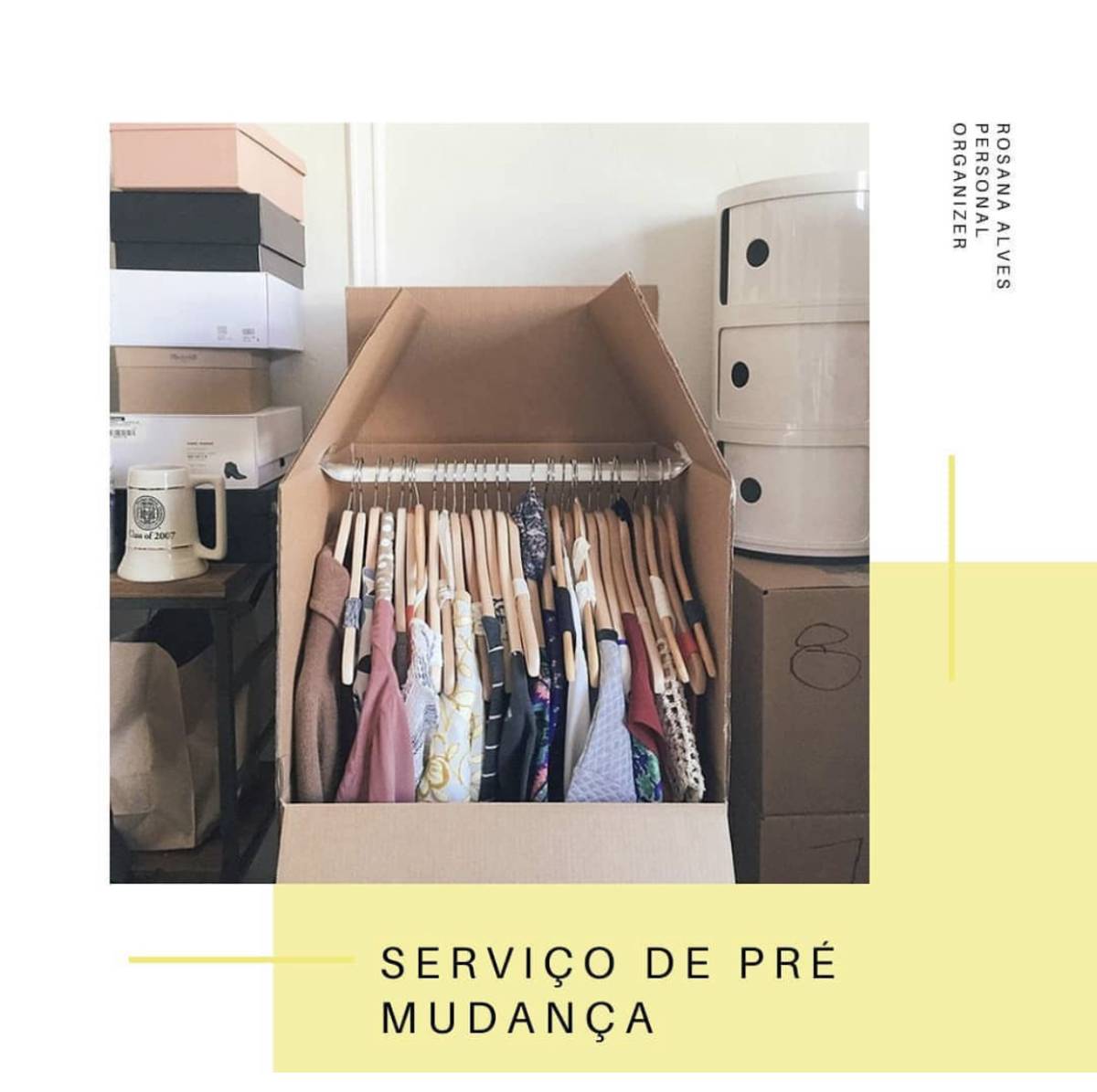 Rosana Alves - Porto - Organização de Armários