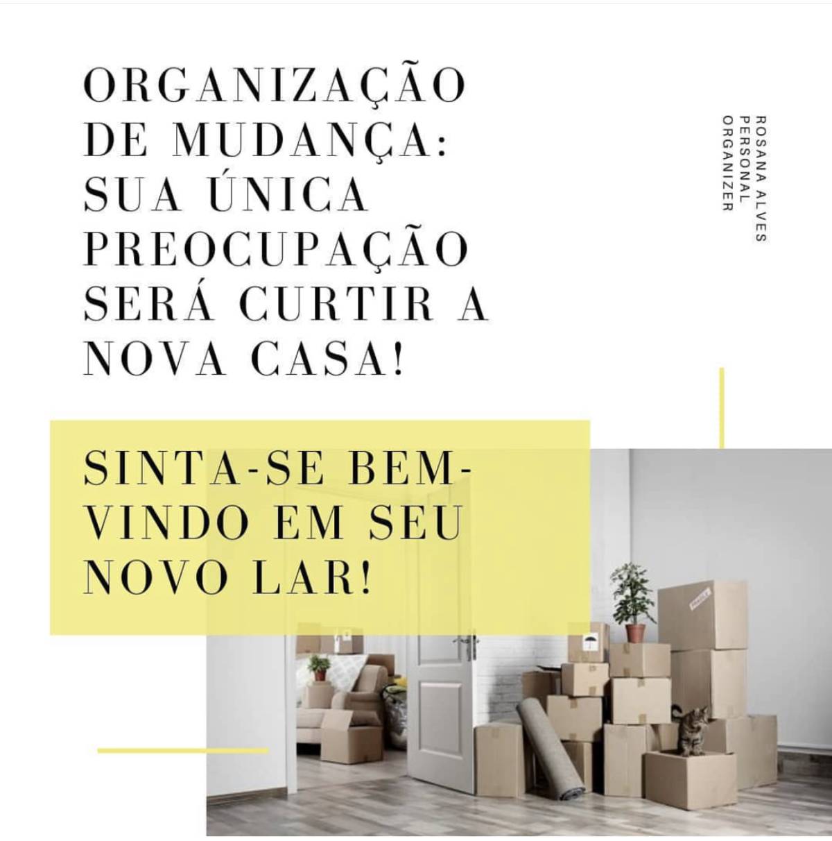 Rosana Alves - Porto - Organização da Casa