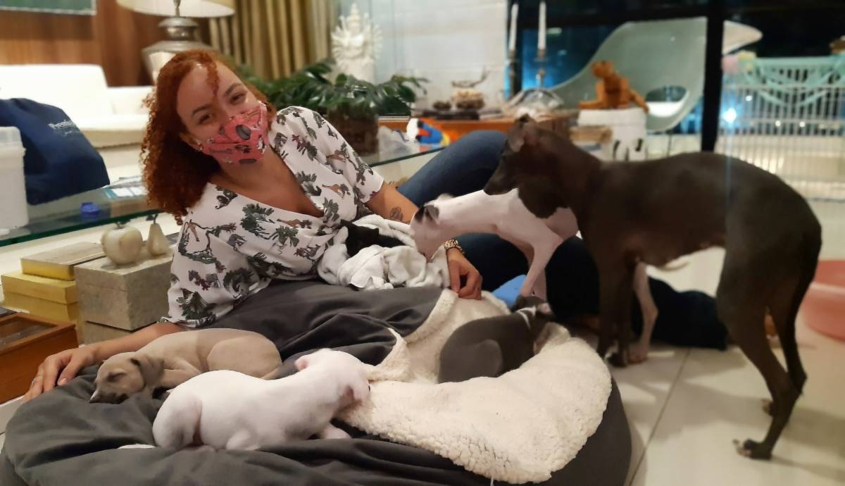 Daniele Farias - VetCuida - Cascais - Katzensitter