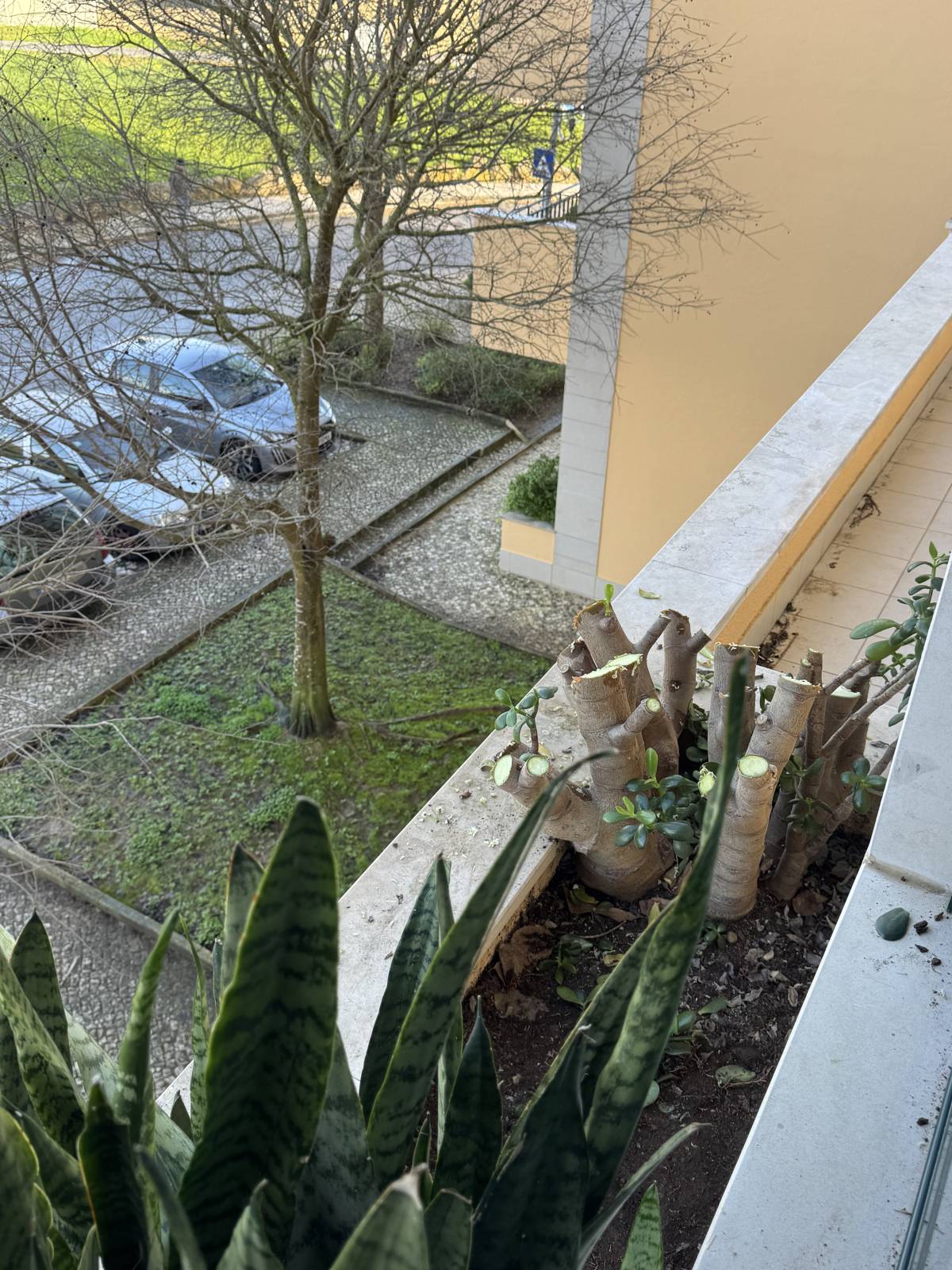 Gardening