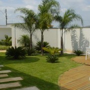 Projeto Verde-Jardinagem - Anadia - Shrub Removal