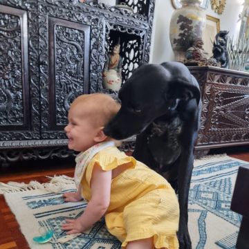 Rita Osório - Lisboa - Hundepension