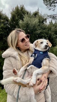 Pet Dolly Hotel - Bruna Costa - Aveiro - Cuidar tus mascotas