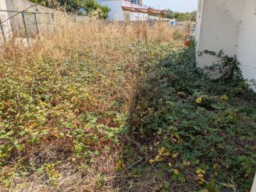 Jardinagem e Relvados