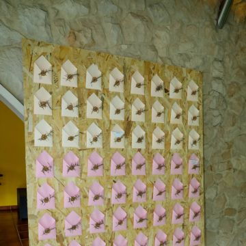 Chaves D'Alma - Rio Maior - Organización de Baby Shower