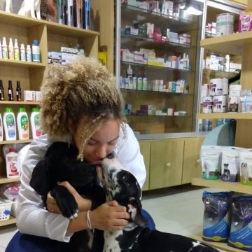 Daniele Farias - VetCuida - Cascais - Hundeausführung