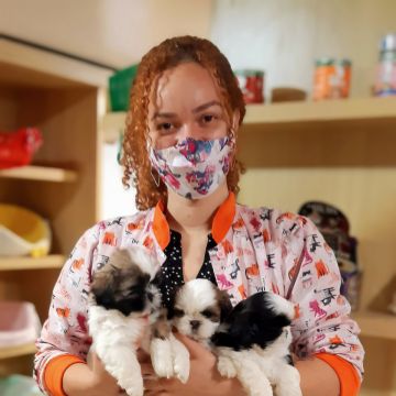 Daniele Farias - VetCuida - Cascais - Hundeausführung