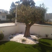 Projeto Verde-Jardinagem - Anadia - Multi Service Lawn Care (Recurring)
