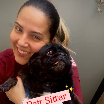 Pet Dolly Hotel - Bruna Costa - Aveiro - Cuidado y peluquería para mascotas