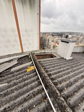 Dachdecker (Bau- oder Austausch)