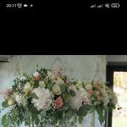 Luisa - Gondomar - Party Planning