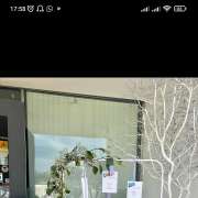 Luisa - Gondomar - Wedding Florist