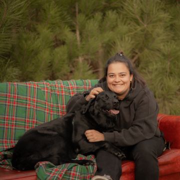 Leandra Ribau - Ílhavo - Garde de chiens