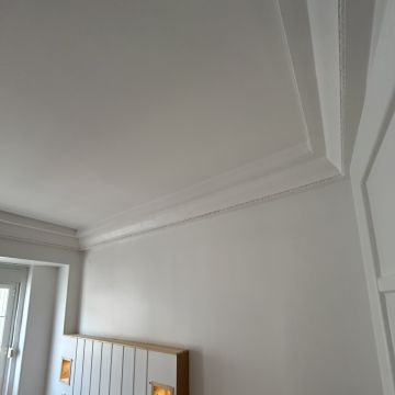 Elitepaint.pt - Sintra - Remoção de Arbustos