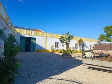 Louro e Louro - Albufeira - Tree Stump Grinding and Removal