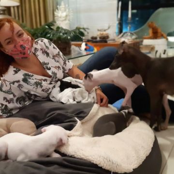Daniele Farias - VetCuida - Cascais - Katzensitter