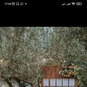Luisa - Gondomar - Bridal Shower Party Planning