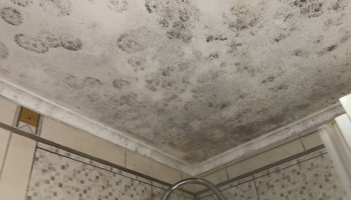 S.T. CLEANING - Portimão - Installation ou remplacement de toiture