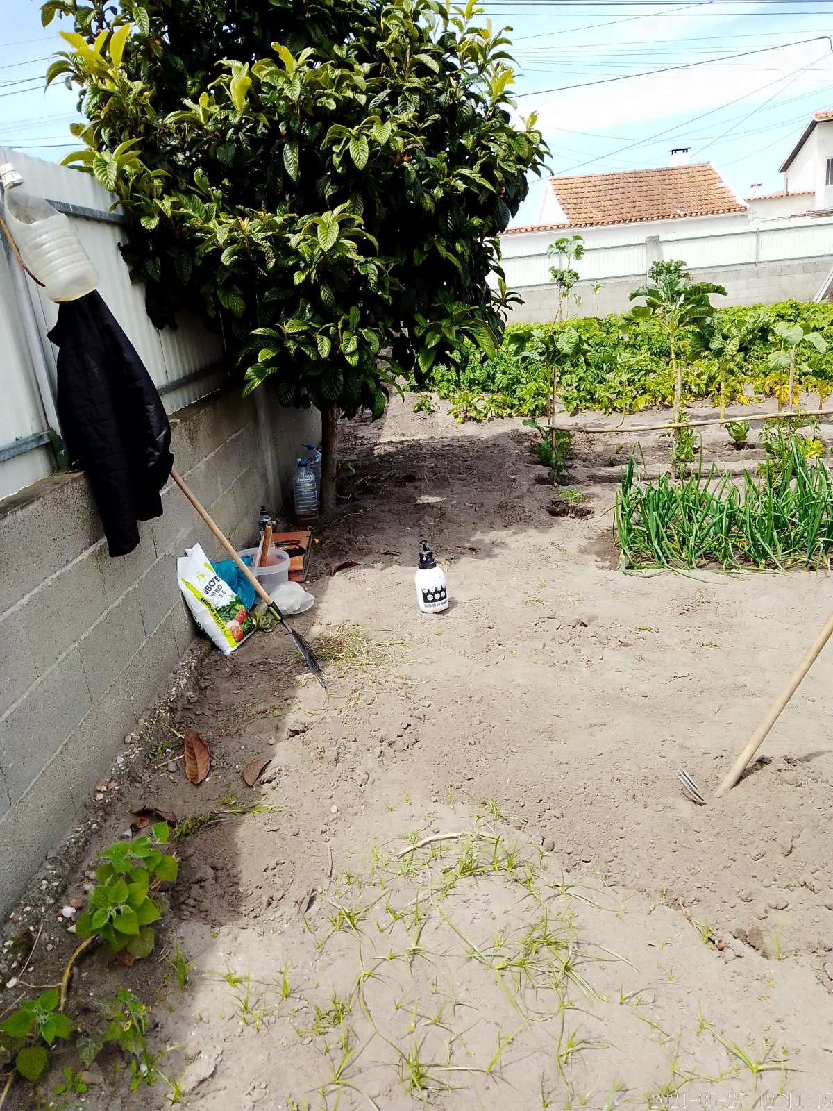 Moacir - Marinha Grande - Gardening