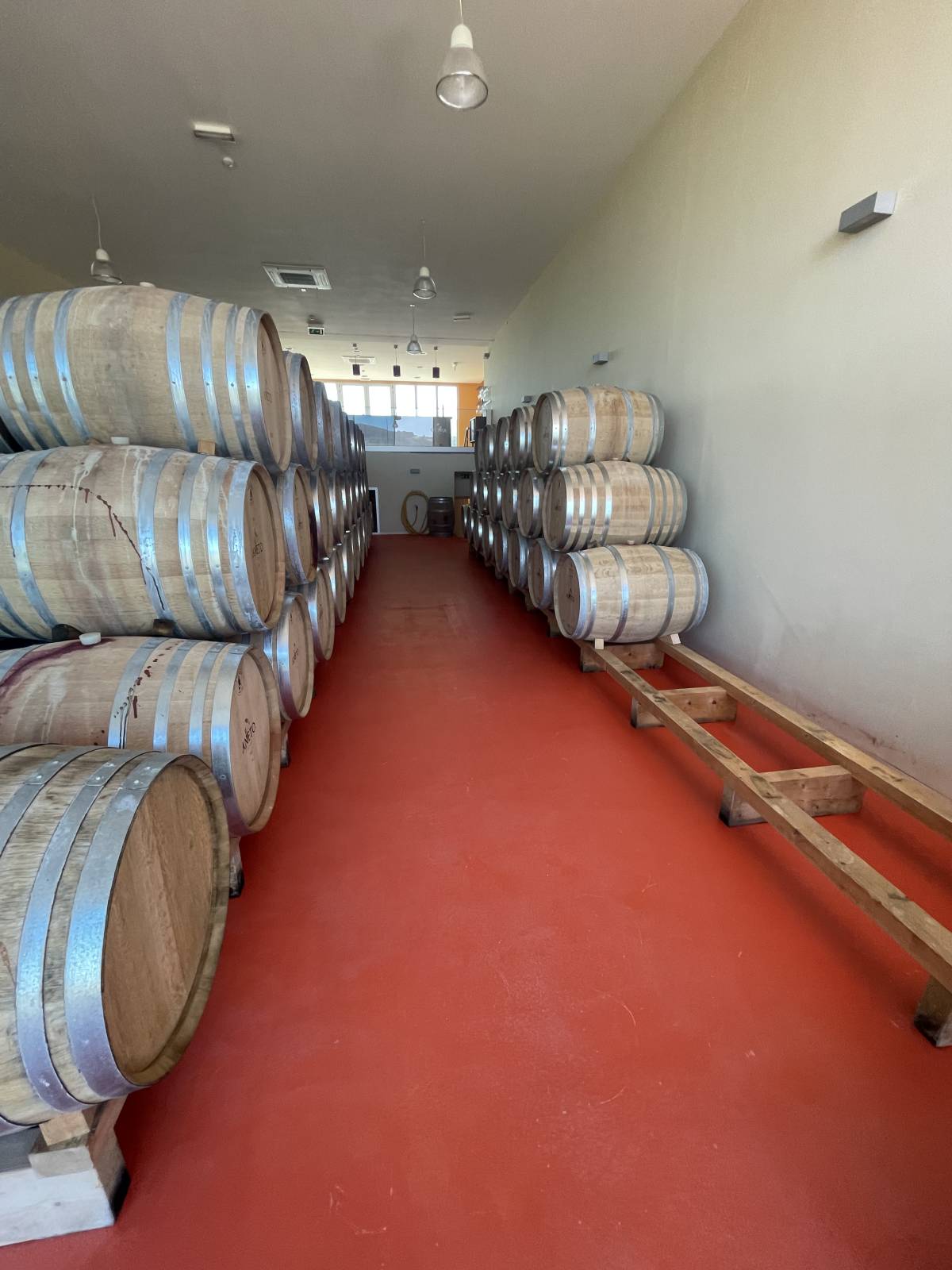 Inova Clean Services - Lamego - Limpeza de Janelas