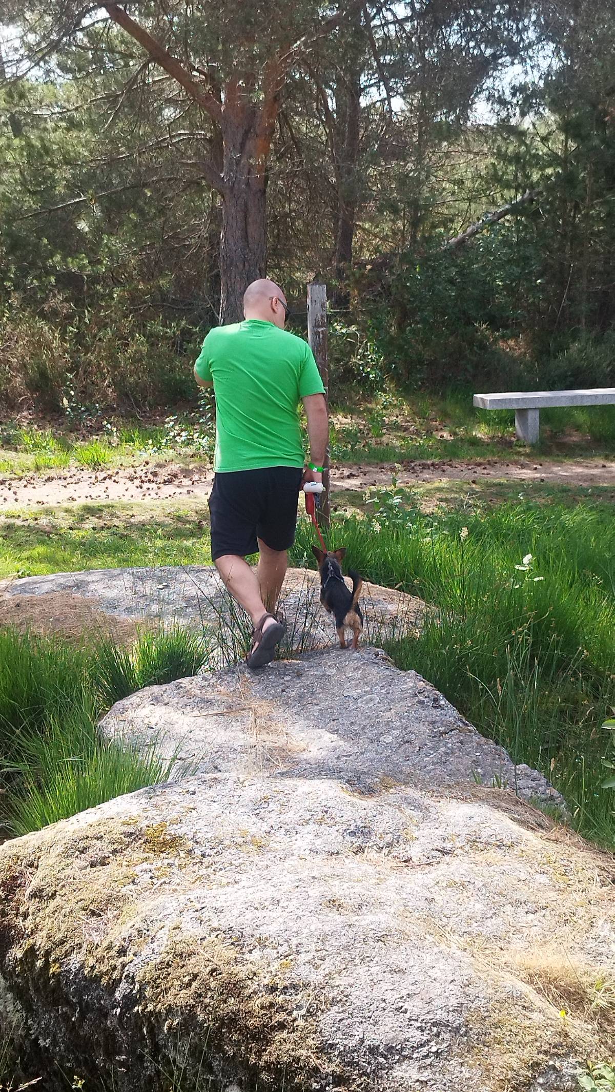 Pawlapetcare - Vila Nova de Famalicão - Hotel e Creche para Animais