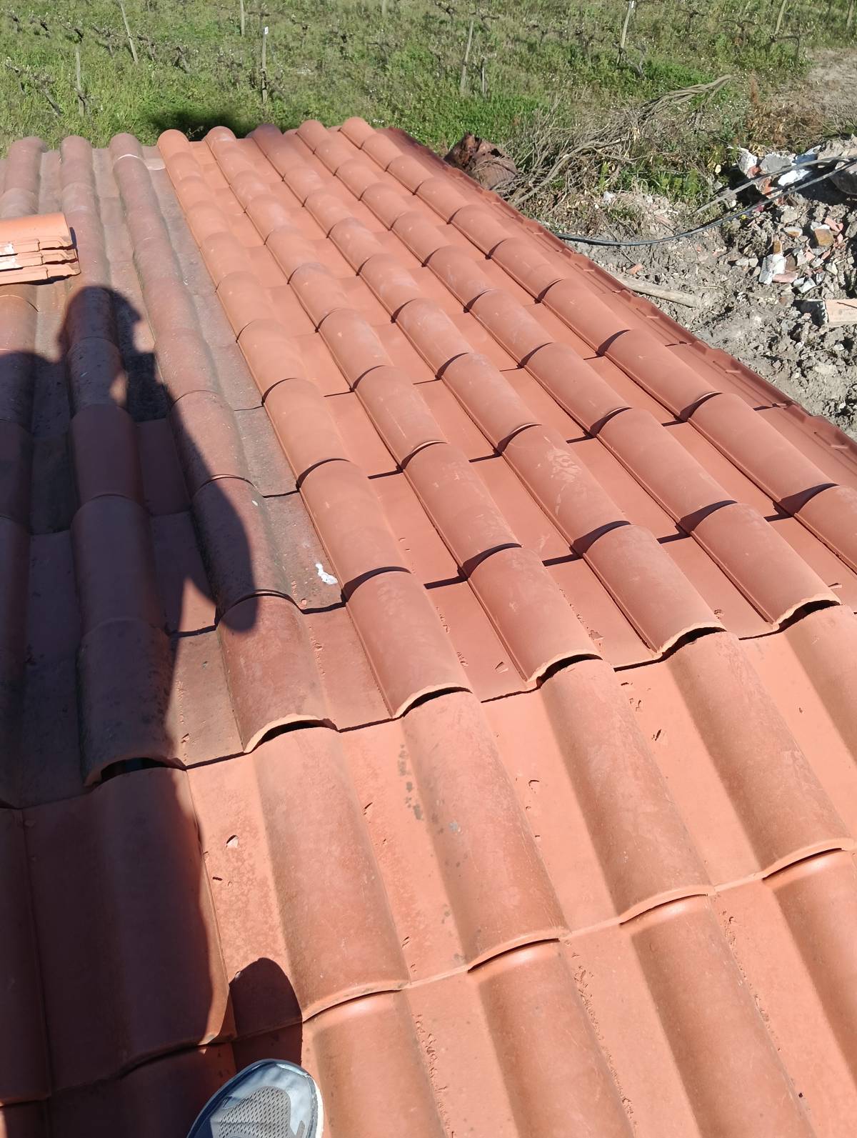 Volutas e arestas unipessoal lda - Rio Maior - Inspección y eliminación de moho