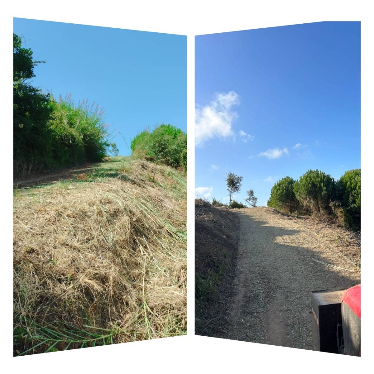 Bernardo Cartaxo - Cadaval - Colocação de Pedra