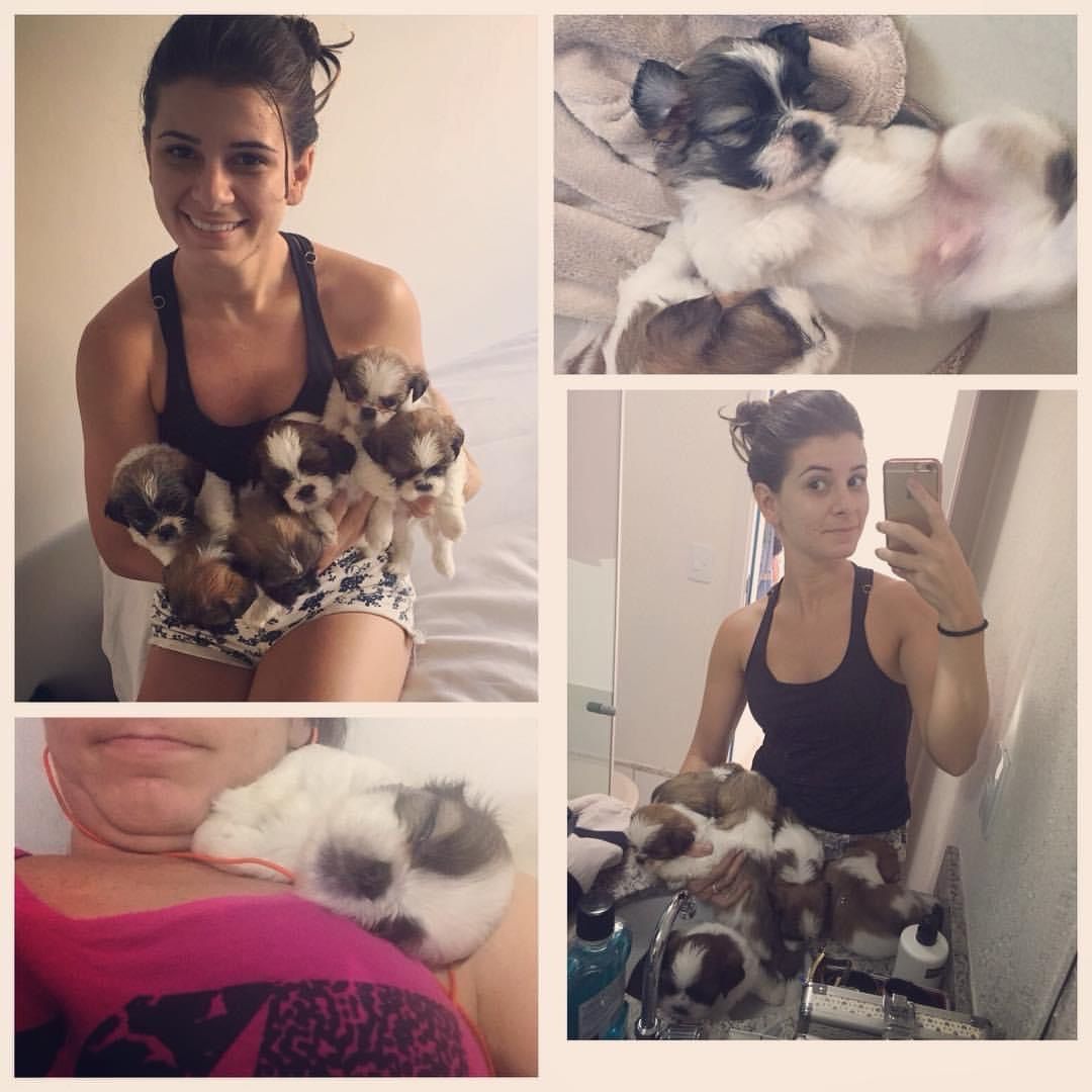 Duda´s PetSitter & PetWalking - Oeiras - Dog Sitting