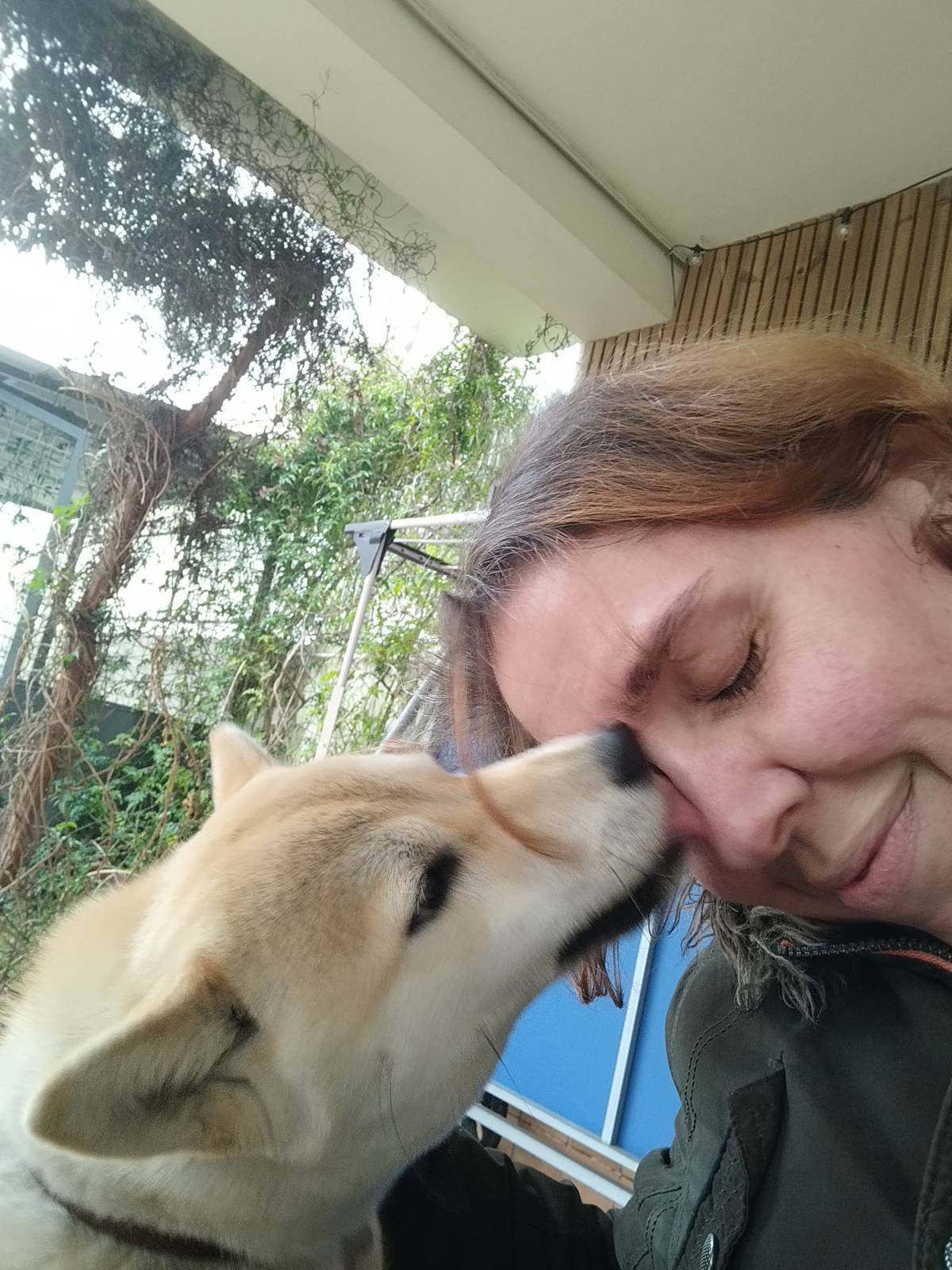 Pawlapetcare - Vila Nova de Famalicão - Hotel de Animais de Estimação