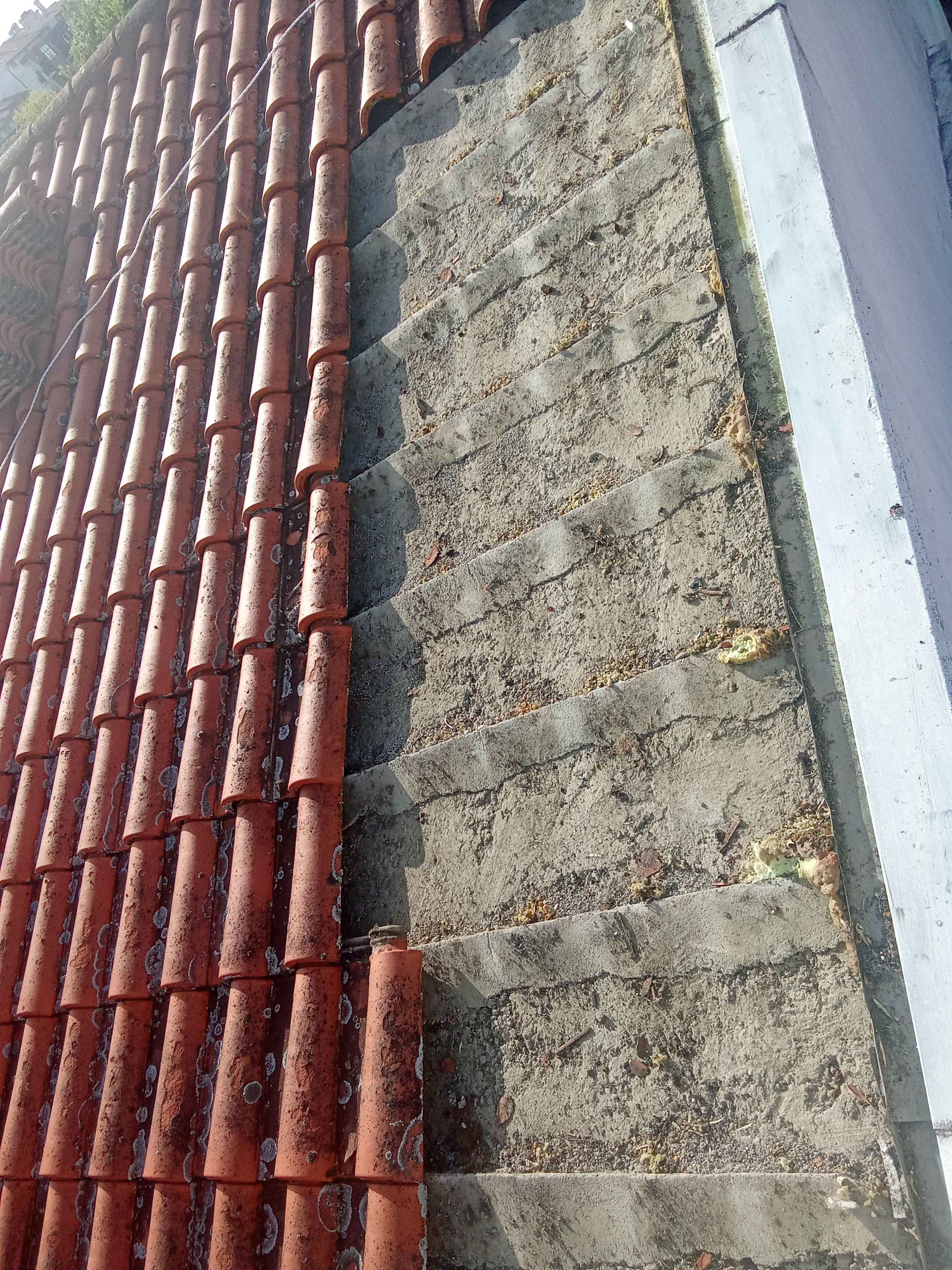 Jardel gonzales - Viseu - Nivellement de surfaces en béton