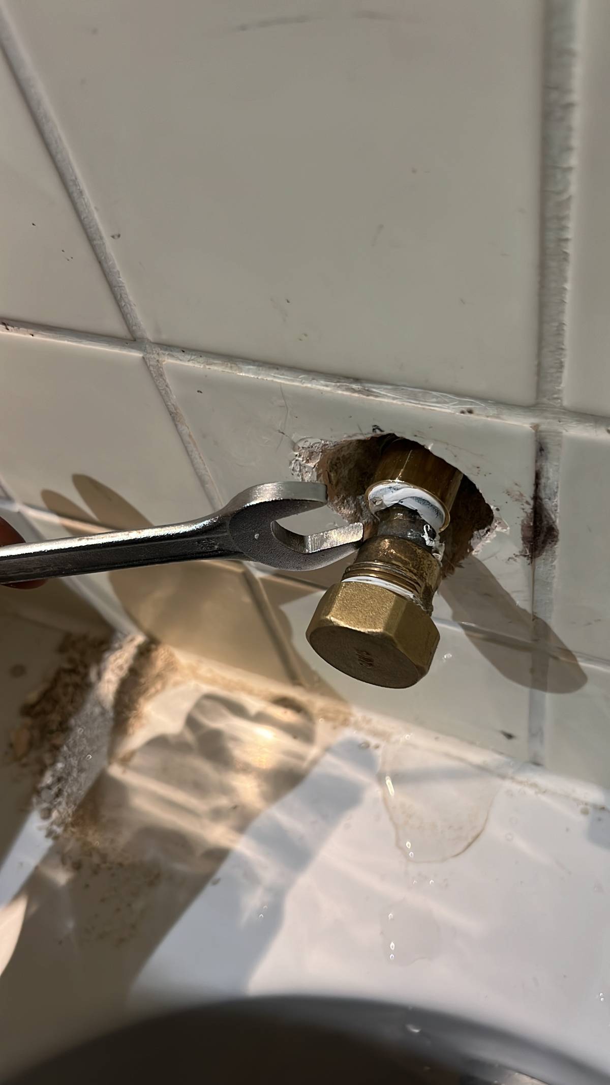 Gomes reparação - Oeiras - Toilettenreparatur