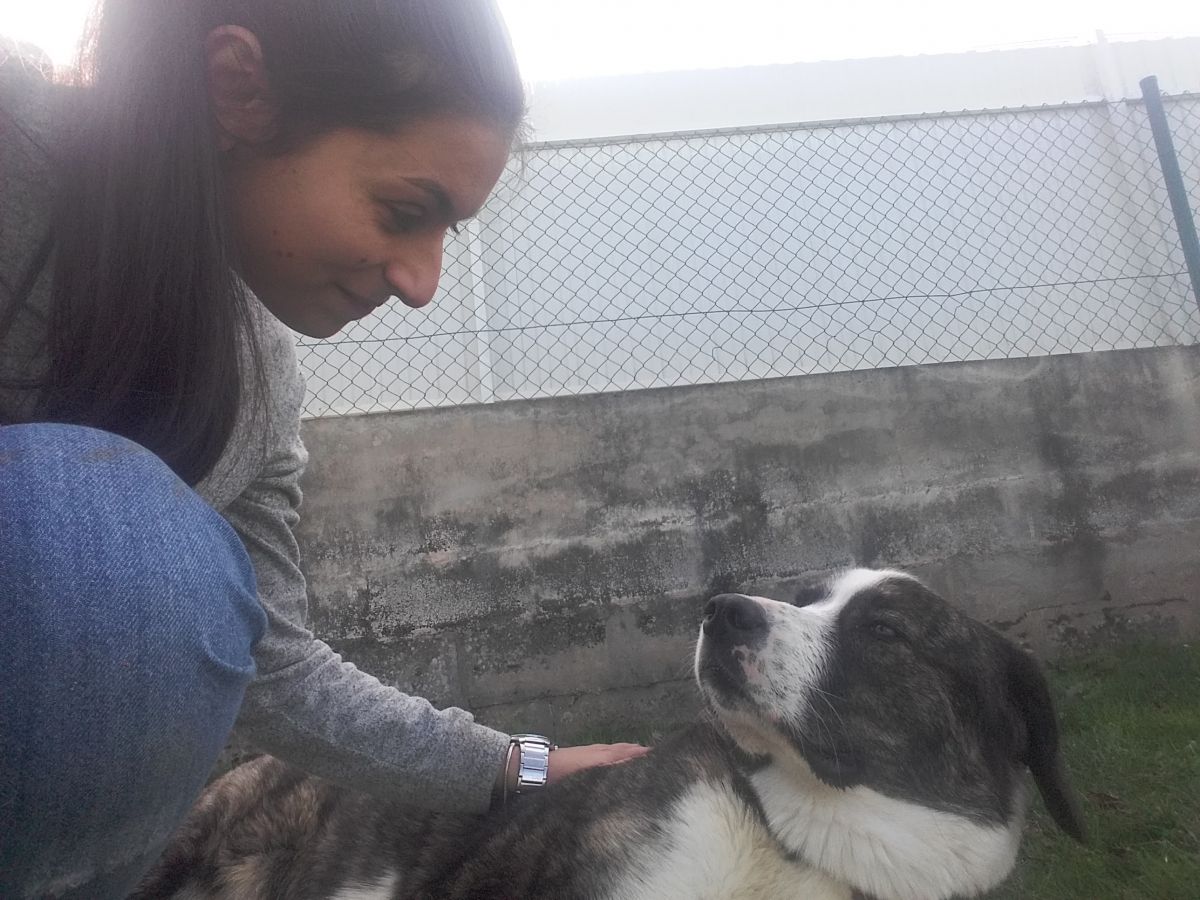 Anabela Oliveira - Vila Franca de Xira - Cuidar tus gatos