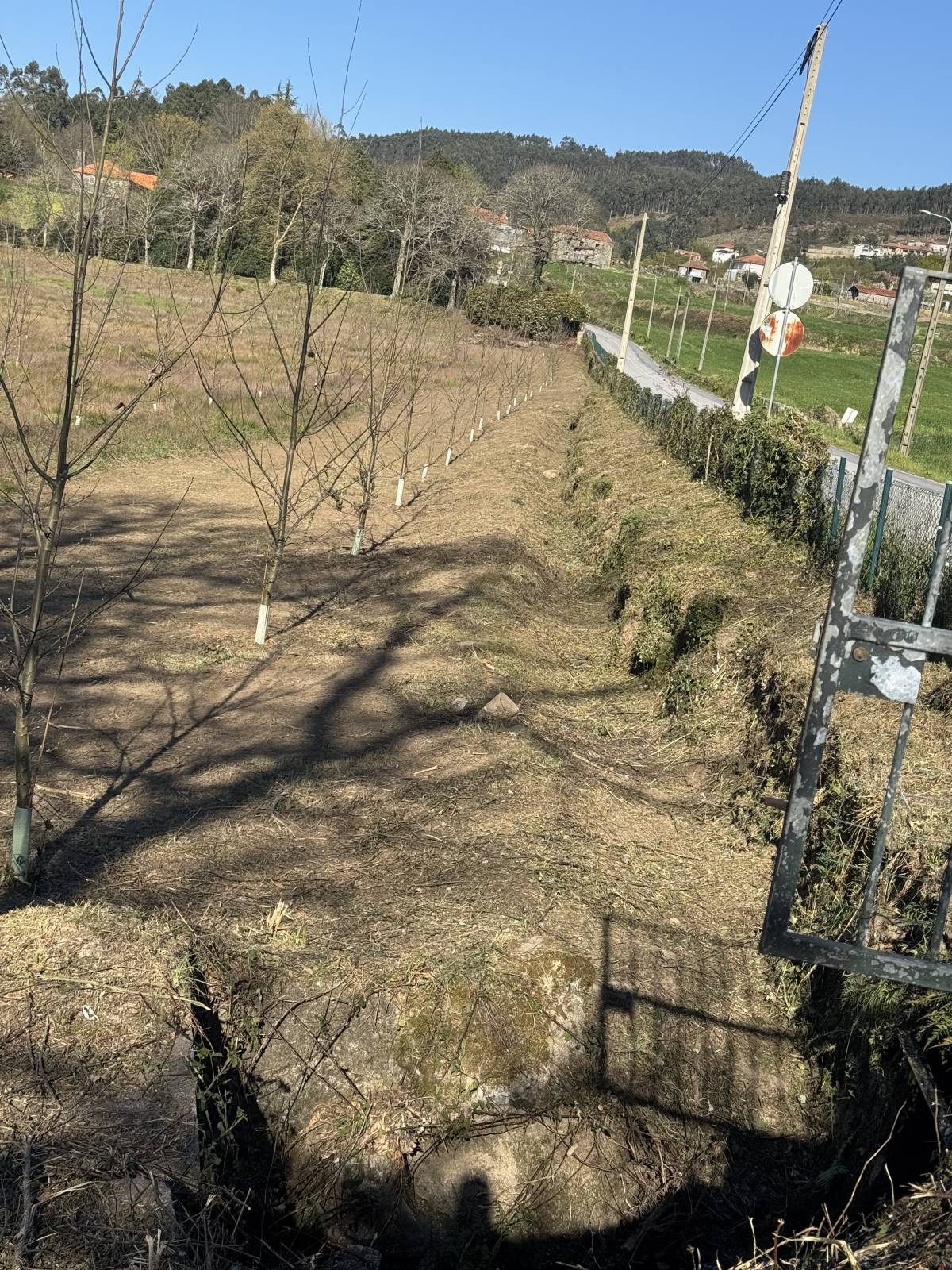 Ruralidades - Fafe - Eliminación de arbustos