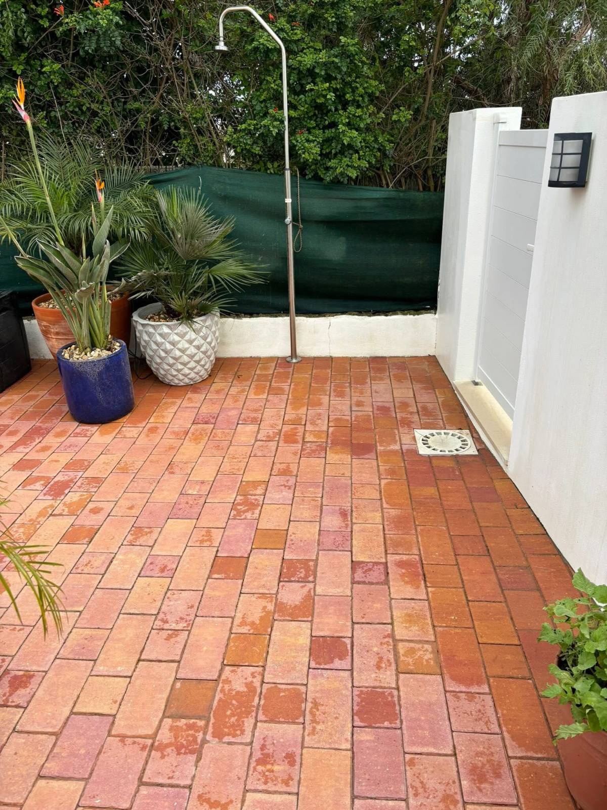 S.T. CLEANING - Portimão - Enlèvement d'arbustes